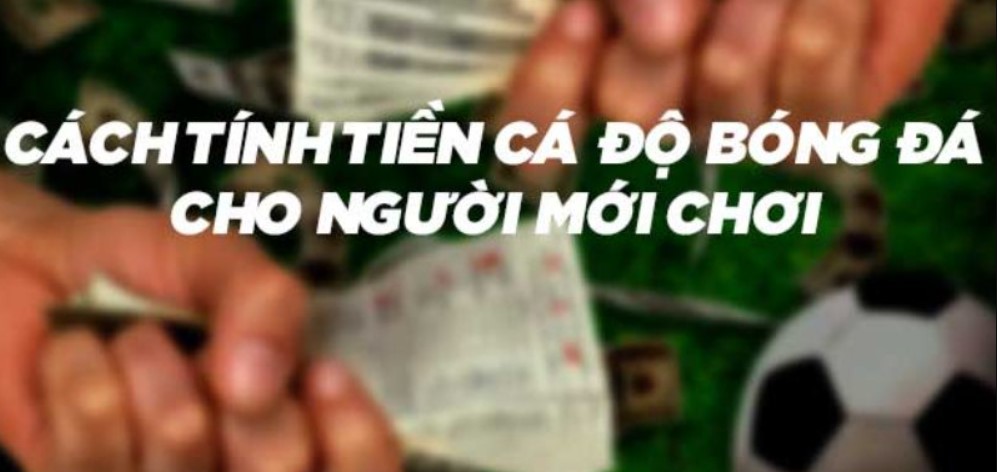 Cá Độ Bóng Đá Hợp Pháp: Tiêu Chí Là Gì? Chơi Ở Đâu?